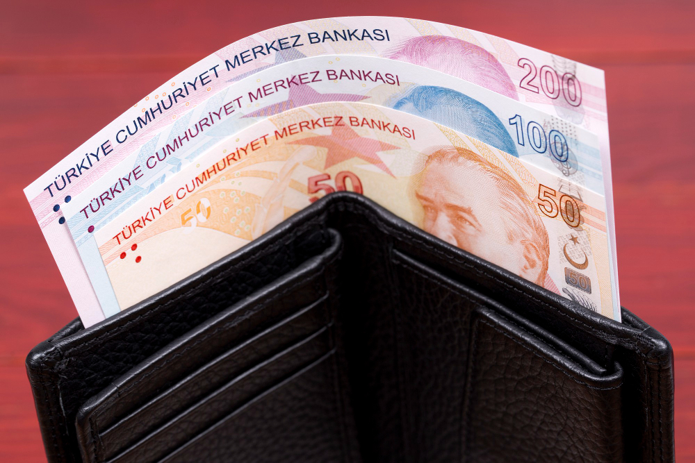代表的な新興国通貨③：トルコリラのイメージ